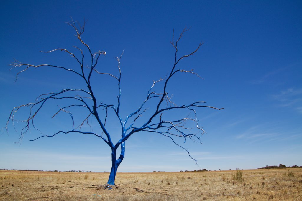 Original Blue Tree