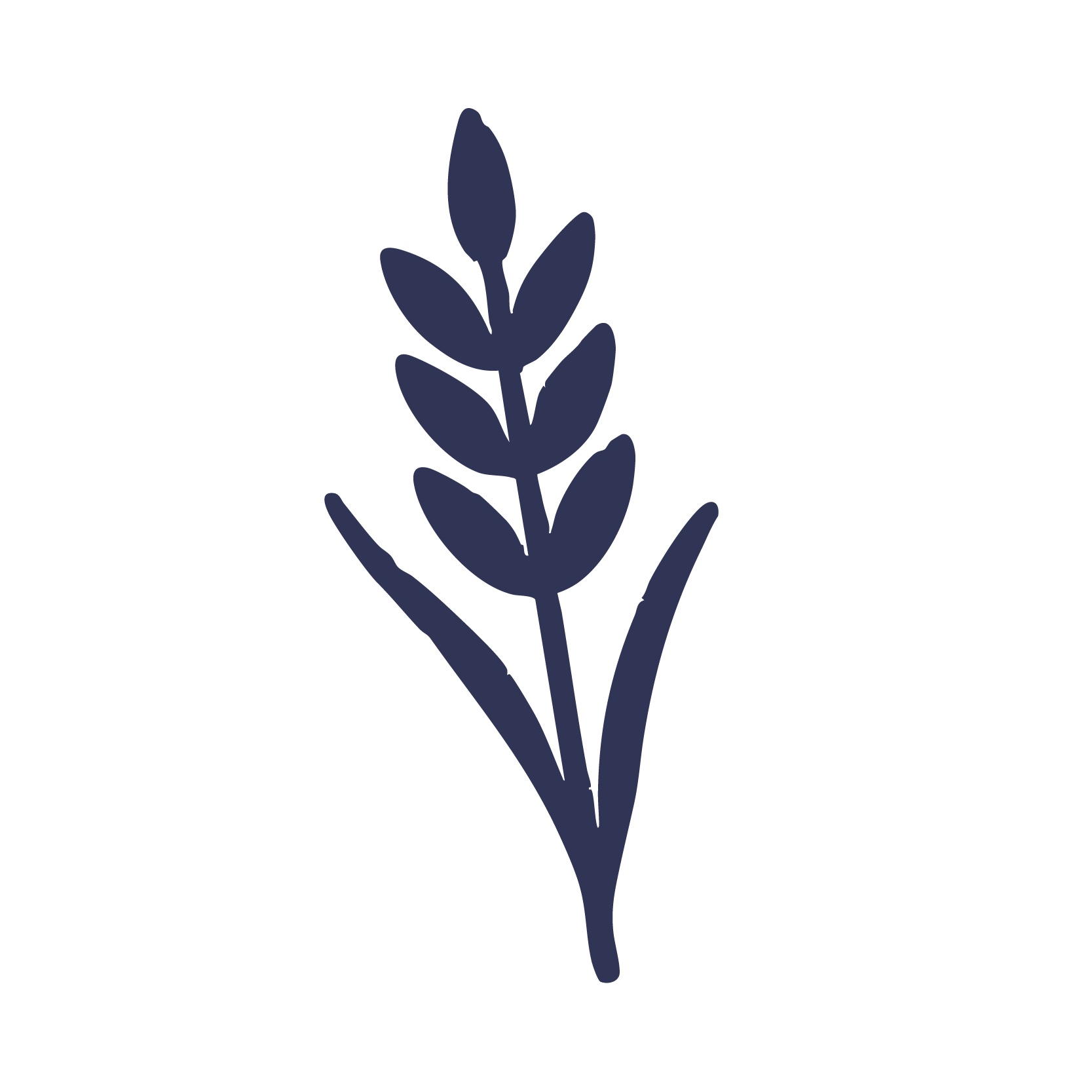 Graphics-_ANUTS-Colour-Standard-Navy-Wheat copy Graphics-_ANUTS-Colour-Standard-Navy-Wheat copy
