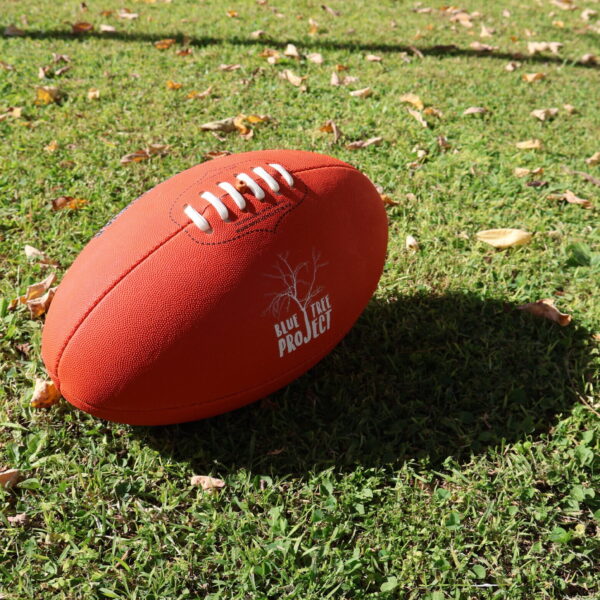 Blue Tree Project Football