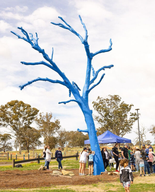 This blue tree in Sutton, NSW, marked with handprints from the community, is a powerful reminder that a simple gesture or check-in can leave a lasting impact.⁠
⁠
📍Sutton, NSW⁠
⁠
#bluetreeproject #bluetree #mentalhealth #mentalwellbeing #mentalhealthawareness #conversationstarter #notabooinbeingblue