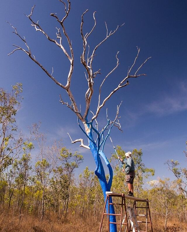 📍Blue tree location = unknown. ⁠
⁠
As humans, we like to know what's coming. We can crave certainty - a plan, a path and a clear next step. But life does't always work that way. ⁠
⁠
The unknown can feel uncomfortable, even a little scary. And yet, it's often in those moments of uncertainty, we grow the most - we learn, adapt and find strength we didn't know we had. ⁠
⁠
Here's your Friday reminder that you are capable and that you don't need to have to have all the answers. ⁠
⁠
#bluetreeproject #bluetree #mentalhealth #mentalhealthawareness #awareness