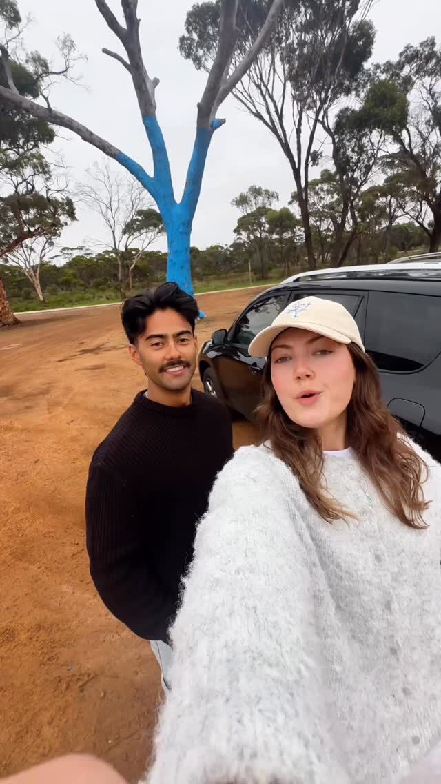 Spotto blue tree! 👀