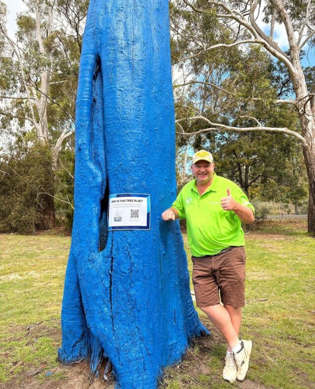 How many golf courses have you spotted with a blue tree? ⛳️ ⁠
⁠
Drop your fairway photos in the comments - we’d love to see them! 📸⁠
⁠
📍 Launceston Golf Club, TAS⁠
⁠
#bluetreeproject #bluetree #mentalhealth #mentalwellbeing #mentalhealthawareness #conversationstarter #notabooinbeingblue⁠