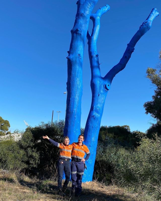Aurizon Kwinana have supported our project by painting a tree in their rail yard 🚊 

Big thanks to Samara who helped organise and support our mission. She often shares a photo of the Meenar blue tree when passing on one of their trains (last photo) 💙 thanks for your support!