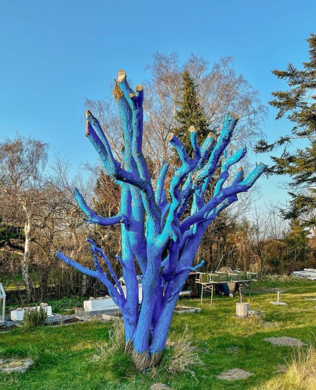 Our first Blue Tree in Copenhagen, Denmark! 🇩🇰⁠
⁠
While exploring Australia, Charlotte came across the Blue Trees and was deeply inspired by the story behind them.⁠
⁠
Back home in Copenhagen, she and her friend Marianne brought the symbol of mental health awareness to Denmark.⁠
⁠
"What started far away has found it's way here - and the blue tree we painted is now part of that ongoing story." - Marianne⁠
⁠
📍 Copenhagen, Denmark, EU⁠
⁠
#bluetreeproject #bluetree #bluetrees #mentalhealth #mentalhealthawareness #copenhagen #denmark⁠
⁠