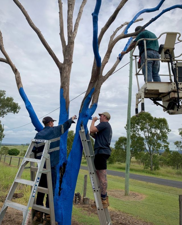 It was a real community effort to get this tree painted in Kingsthorpe, Queensland. Local businesses and family friends rallied together to get it all done before the rain settled in. Special thanks to Loughlin’s Mum for being the driving force behind this tree. 💙