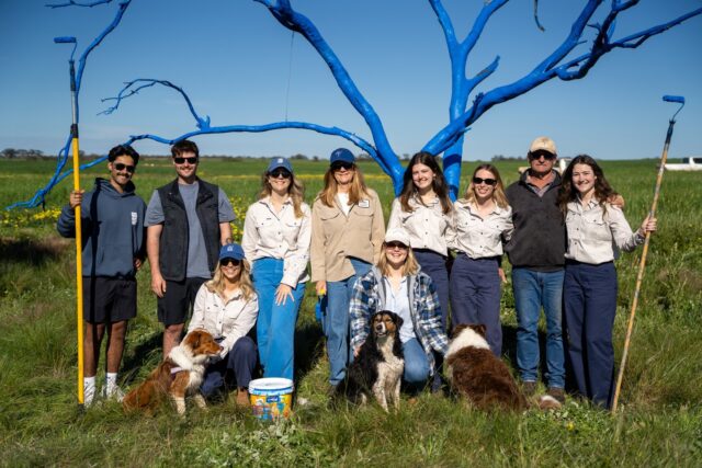 Back where it all started in the Wheatbelt 💙 

Last weekend, we headed back to Mukinbudin to repaint the original blue tree. 

It's changed a bit over the years. It's seen long, hot summers, chilly winters and harvests come and go.

Through it all, Jayden's Dad has been there to keep it standing. It might have lost a few branches and wear a few nails, wire and metal braces, but it's still going strong.

We're not all that different from Jayden's tree. We too need people who notice when things are heavy, lend a hand when we need it and keep showing up through whatever season we're in.

Our charity has grown far beyond this paddock, but our connection to this land and the country communities that shaped us hasn’t.

This is where our story started, and no matter how far Blue Tree Project reaches, these roots will always run deep 💙