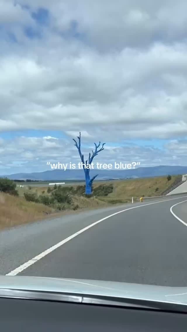 Some Friday feel-good to kick off your weekend☀️ 

#BlueTreeProject #BlueTree #MentalHealth #MentalHealthAwareness #KickTheStigma #FeelGood
