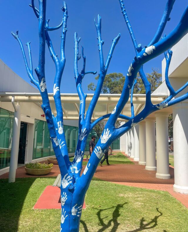 ⁠We're often asked, "How can I get involved...?"
⁠
Here's how...👇️⁠
⁠
Paint a tree to spark a conversation 💬 ⁠
Open up and encourage others to do the same⁠
Upskill with mental health first aid training⁠
Host a community event or fundraiser⁠
⁠
Check out our website for more ideas on how you can help.⁠
⁠
Thanks to the Australian Institute of Management WA for your support! 👏⁠
⁠
📍 Floreat, WA

#bluetreeproject #bluetree #bluetrees #mentalhealth #mentalhealthawareness #conversationstarter #visualreminder #floreat