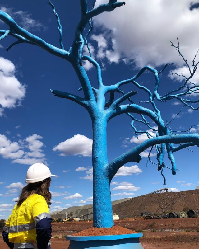 This week we finally got to see the incredible engineering feat in land at Karara Mine. Even their trains were put on hold for this whopping blue tree which now stands at their site entrance! The project helped rally several contractors and organisations to do their part and it has become a catalyst for change up on site 💪.

We finished the visit off with a trivia night and BBQ that filled the wet mess!

Thank you to each and everyone who has helped us spread our cause and mission at Karara. And a special thanks to Lidia who is the cornerstone of the project on site 💙 We can’t wait to share more at @mercinperth around the fundraising figures of the mighty Karara Dragons Team!