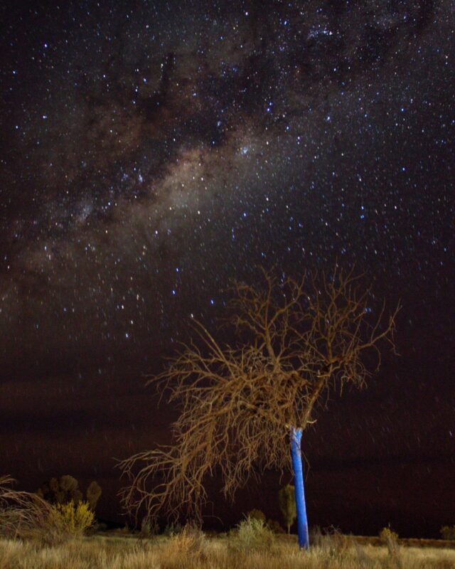 Support is like the stars, you might not always be able to see it, but it's always there 🌌 

Every time you pass a blue tree, let it be a reminder that help is never as far as it can feel, and you're never alone in what you're going through.

Whether it’s a chat with a mate, a call to a free support service, or sitting down with a therapist, there are always people who care and want to listen.

Even in the darkest moments, light will return. Sometimes you just need a little bit of help to see it again 💙 

📍 Kings Canyon National Park, NT 
📸  @sunsetsandflowersphotography
