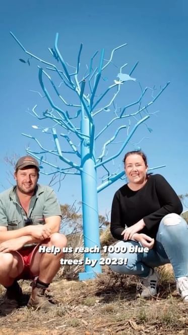 It’s Mental Health Week and we’re kicking things off with our national ‘Paint A Tree Blue Day’! 💙 We are so grateful to everyone who has embraced our project and helped us spread our mission and cause since 2019!

We all have a part to play in building a mentally healthy future 💙 what are you doing this week to help?