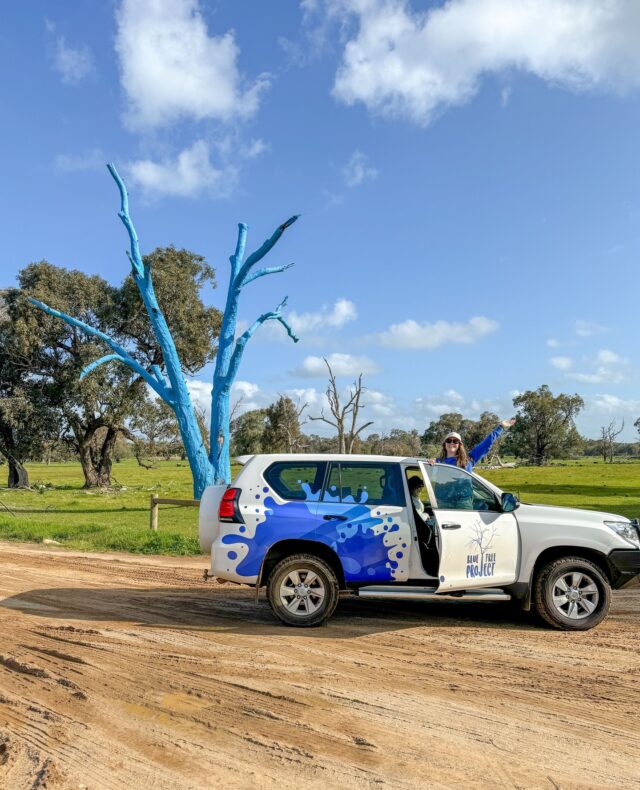 Wishing you all a happy Easter 🍫

If you're hitting the road and joining the long weekend migration down south or up north - remember to take it easy and drive safe 🚙⁠
⁠
We hope you get the chance to slow down a bit this long weekend. Switch off, rest and spend time with the people who help fill up your cup.⁠
⁠
📍Busselton, WA
⁠
#bluetreeproject #bluetree #easter #mentalhealth #mentalhealthawareness #roadtrip #longweekend #busselton