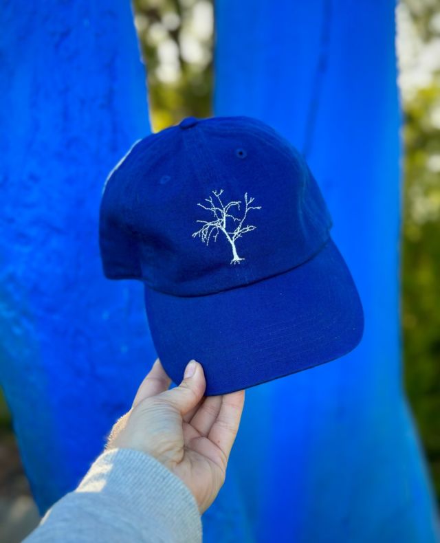 MERCH DROP! 🧢⁠
⁠
Get your hands on our limited edition blue cap. Hurry while stocks last!⁠
⁠
Shop via link in bio 💙