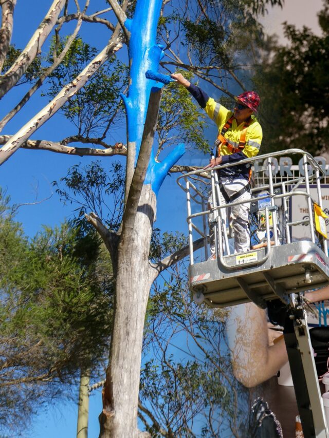It takes a special kind of person to spend their time helping others 💙

Every person who has painted their own blue tree, turned up to a community painting day, held a fundraiser, or lent a hand at our events has played a huge part in our mission to create safe, supportive communities where everyone can speak up about what they’re carrying.

Happy Volunteer Week to our amazing volunteers, we appreciate you more than words can say 🫶

We’re always on the lookout for more amazing vollies. Visit link in bio to get involved.