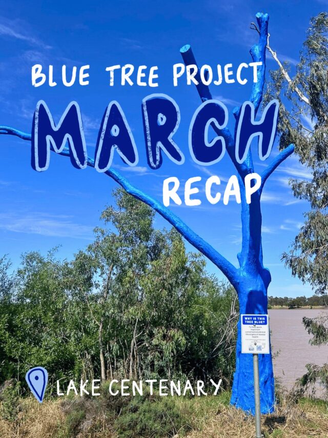 March was full of meaningful chats, MHFA training and a couple of very special milestones 💙

Swipe to see what we got up to! 👉