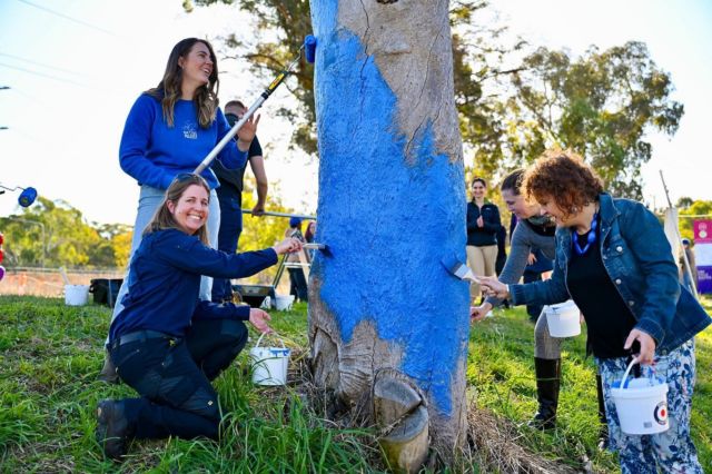 We had good fun with the ACT Government to give this tree ‘a blue lease on life’ 💙 

This tree in Lyons is in a prominent location that will serve as a visual reminder to the many Canberrans.

Post 1/2
