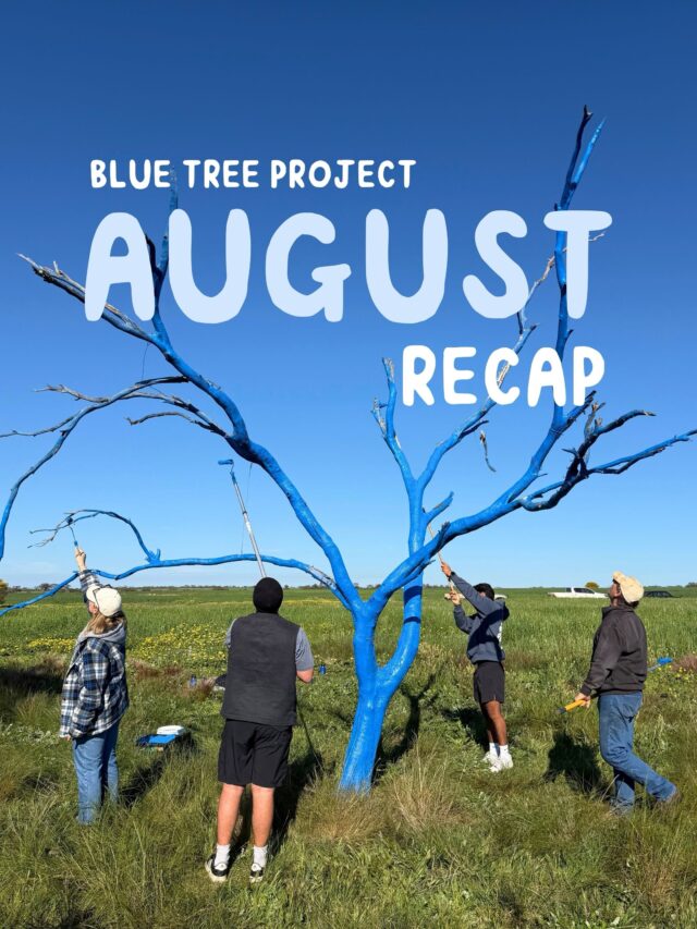 August was a pretty special month 💙 

From a repaint of the OG tree and announcing the fifth @nightunderthestars to getting out into regional communities and delivering Mental Health First Aid training, it was full of meaningful convos and making an impact.

Here’s a little look back.