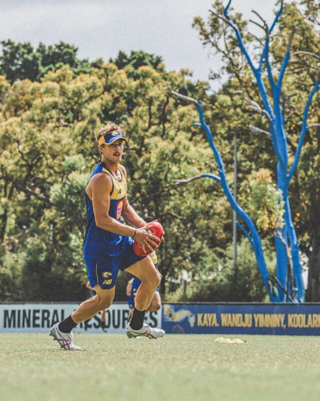 Men’s AFL opening round kicks off today, but let’s not forget to look after our mental game - on and off the field 🏉 ⁠
⁠
Much like a footy season, we all go through highs and lows and have our on or 'off' days. ⁠
⁠
Whether you're playing or watching from the couch, check in with yourself and your mates. If you notice someone's off their game, reach out. ⁠
⁠
📍 Mineral Resources Park (Lathlain Park), Lathlain

#bluetreeproject #bluetree #bluetrees #mentalhealth #mentalhealthawareness #westcoasteagles #afl #football #footy #kickthestigma #conversationstarter