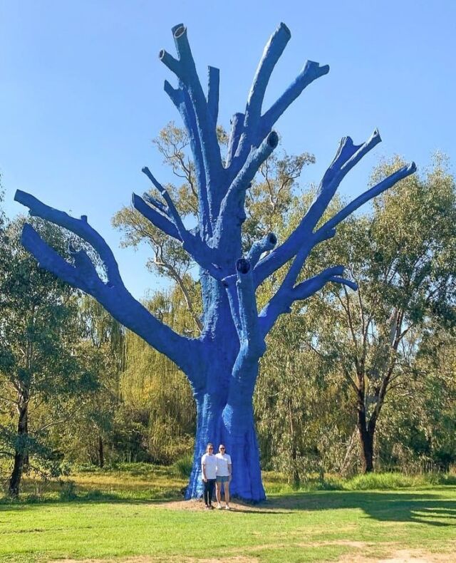 The Tumut community gathered to paint a tree blue, turning it into a bold reminder - to connect, share stories of loved ones, and let each other know that we’re here, side by side, through whatever life throws our way 💙⁠
⁠
#bluetreeproject #bluetree #mentalhealth #mentalwellbeing #mentalhealthawareness #conversationstarter #notabooinbeingblue⁠