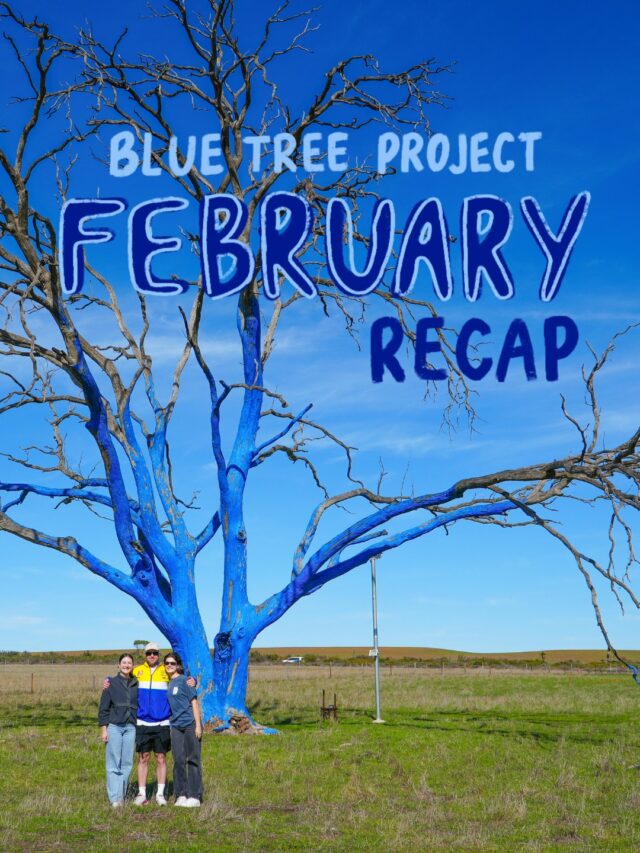 All hands were on deck this February!

The team was out doing the hard yards, setting up @nightunderthestars, school talks and kicking off the re-launch of free @wattylpaint submissions!

See why we haven't been able to reply to your emails (we will be in touch soon) 🙃