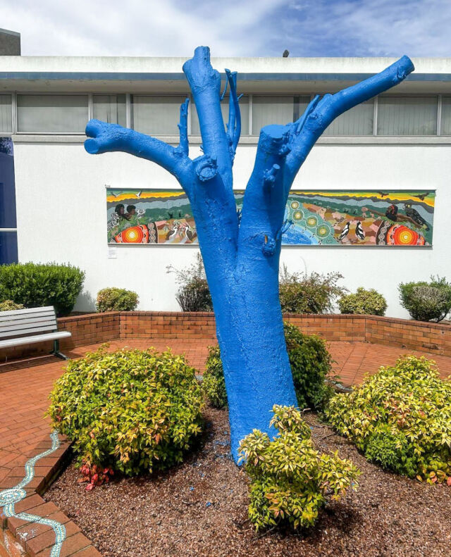 A few simple words can make such a difference 💙 ⁠
⁠
At Taree University Campus, people came together to fill the Blue Tree with messages of hope and support - a reminder that support can come from anywhere.⁠
⁠
You never know who might need to hear those words today.⁠
⁠
📍 Taree, NSW⁠
⁠
#bluetreeproject #bluetree #bluetrees #mentalhealth #mentalhealthmatters #notabooinbeingblue #taree #nsw #university