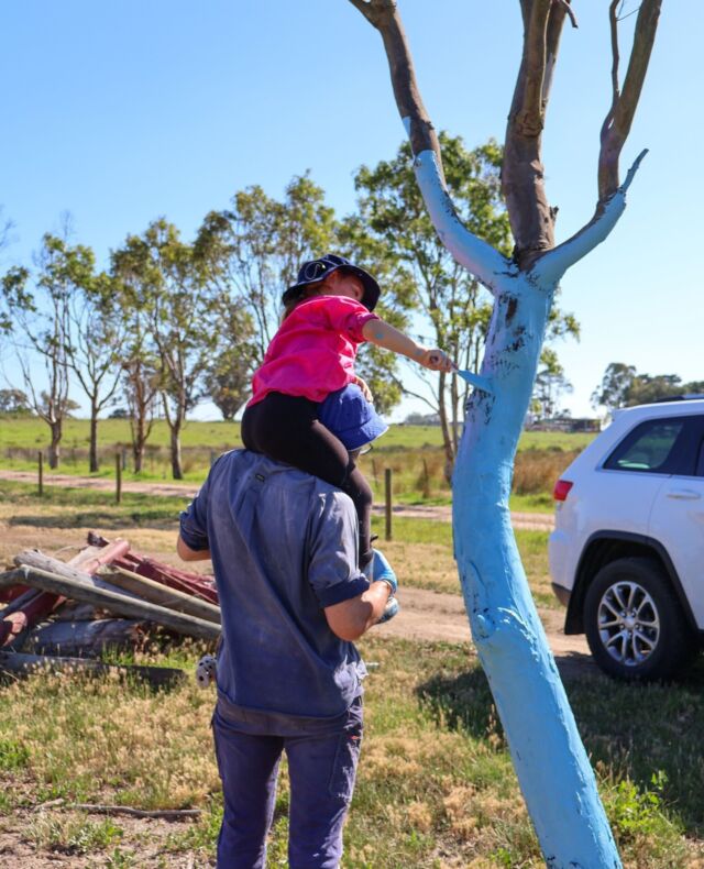 Every day, we all have the power to lift each other up 💙⁠
⁠
A kind word, a listening ear, or a meaningful gesture of showing up for someone in the everyday moments can really turn someone’s day around.⁠
⁠
📍Cobains, VIC⁠
⁠
#bluetreeproject #bluetree #mentalhealth #mentalwellbeing #mentalhealthawareness #conversationstarter #notabooinbeingblue⁠