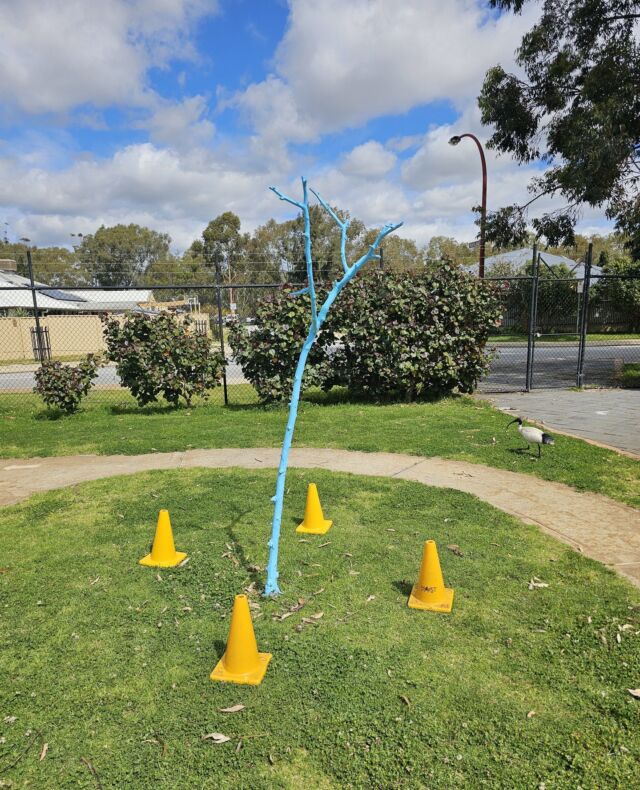 Caladenia Primary School students have added their very own blue tree 🙌 So good to see this!
⁠
Spotto a cheeky bin chicken⁠ getting in on the action. ⁠
⁠
📍 Canning Vale, WA⁠
⁠
#bluetreeproject #bluetree #bluetrees #mentalhealth #mentalhealthawareness #binchicken #school #schoolawareness