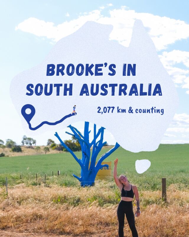 Brooke has crossed the South Australian border after running 100km in a single day! ⁠
⁠
She's on a mission to spark conversations, with over 2,077km covered in just 28 days!⁠
⁠
Swipe to see the key updates here 🏃‍♀️⁠
⁠
Link in bio to donate!

#bluetreeproject #bluetree #bluetrees #mentalhealth #mentalhealthawareness #justonemore #run #charityrun #brookemcintosh