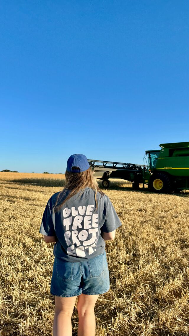 Now accepting donations in the form of grain 🌾 If you’re still harvesting or have grain to allocate please consider supporting our cause. With our roots firmly planted in the WA Wheatbelt, we’re calling on your generosity to keep us on the road & boots on the ground 💙

Grower Number: 40579294
Pin: 7041

Whether it’s 1t or 10t it will help us increase our impact and allow us to continue supporting regional mental health!