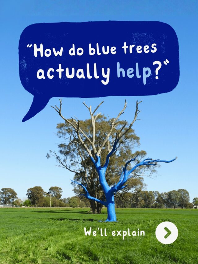 Real impact isn't always in grand gestures and big moments...

Sometimes it starts with an old tree painted blue, standing out in the middle of a paddock, and a simple "why is that tree blue?"

Because the change isn't in the blue tree itself, but the conversations that stem from it. The check-ins between mates and families, the stigma challenged in the places mental health isn't spoken about and the quiet reminder that no one has to feel alone or stay silent about what they're going through 💙