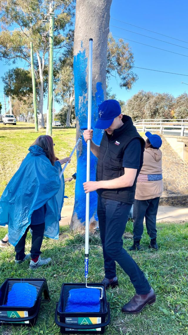 Today we were in Australia’s capital spreading our cause & mission 💙 It’s great to have the government back our project and see it as a valuable way to create awareness of mental well-being. 

The base of the tree was painted by many helpers and the upper branches will be finished off on Thursday! We can’t wait to share the final product 👏

Big shoutout to our mates at @higgins_coatings for supplying all the paint & equipment 🎨 #legends

#mentalhealth #actgov #bluetreeproject