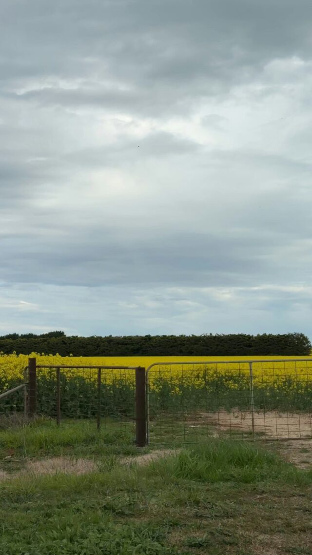 We're back from a packed week road tripping across regional VIC! 🌾 

A huge thanks to @excelfarmsau for backing another trip and helping create more opportunities for people to get together, check in and look out for each other across regional Victoria.

Cheers for having us, VIC. We hope to see you again sometime soon! 💙