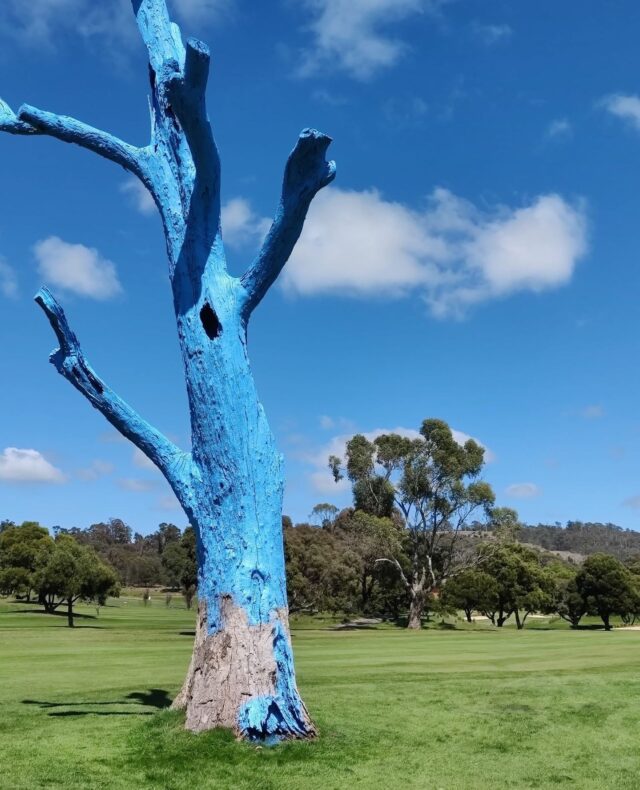 You might spot a Blue Tree on a fairway, along a road, in someone's yard, in a paddock, on a wall, in a pot... or somewhere else.⁠
⁠
But the message is always the same. ⁠
⁠
Every time you see a Blue Tree, remember that someone wants you to know that you're not alone and that support is always out there 💙 ⁠
⁠
By checking in on each other and talking openly about mental health, we make it easier for people to speak up and reach out.⁠
⁠
Thanks to Richard, Marcus, Tanya and everyone at Prospect Vale Golf Club and Country Club Tasmania for spreading our mission.⁠
⁠
📍 Country Club Tasmania, Launceston, TAS
