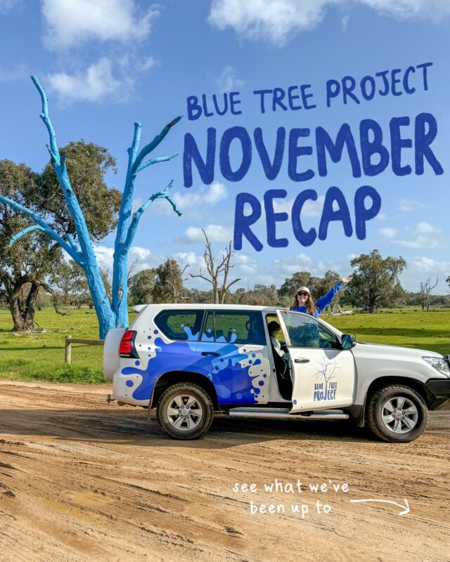 That's a wrap on November! Time flies when you're out kicking the stigma of mental health. Swipe to see what we've been up to 📆