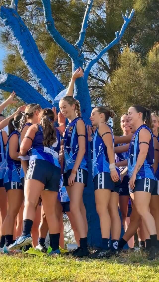 Kickin' the stigma of mental health, one @collegians_afc footy round at a time 🏉 

We had such a special day seeing first hand the impact that local footy has on community wellbeing. Whether you were on the pitch, supporting on the sidelines or grabbed some merch, the community spirit was unmatched.

The teams sported a special blue tree inspired guernsey designed for the round, kindly donated by @shcc_aus, PC Machinery & R&L Hiab Services. 

A huge thanks for the immense effort from the club - we are so grateful to have been a part of the day 💙