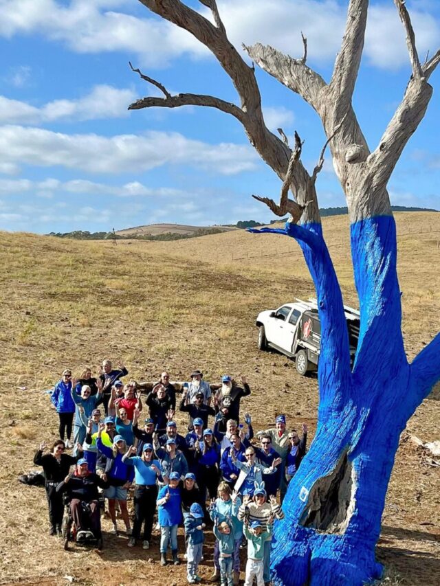 Hepburn Shire are rolling up their sleeves and rolling out the paint, all to look out for their mates 💙 

The sense of community is next level, with an entire shire kick starting honest mental health conversations and regular check ins.

Thanks to everyone who has picked up the phone or a paint brush, these gestures help show that we have each other's backs.

Keep your eyes peeled, Blue Trees are popping up in paddocks and town centers across Coomoora, Daylesford, Franklinford, Creswick, Mount Franklin and more!

📍 Hepburn Shire, VIC⁠