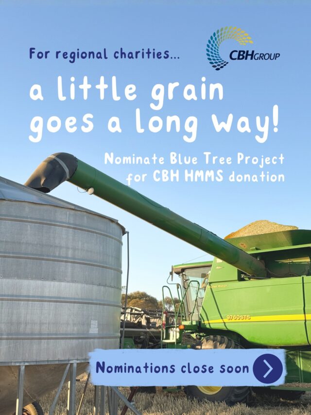 Homegrown dollars staying local, we're backing the regional towns and communities that built us 🌾 

Blue Tree Project started right here in regional WA with support from Wheatbelt towns and beyond. Blue trees spread throughout paddocks and country towns, along with their impact! 

Last year, @cbh_group growers & staff nominated us as a HMMS donations beneficiary and we'd love your support again! 

HMMS donations from forfeited grain help us deliver free mental health first aid, regional tours, community events, blue trees and more to help keep regional communities connected.

Nominations close soon! CBH growers & staff, help put us forward via link in bio. If you can't nominate, pass it on to someone who can! 🤠