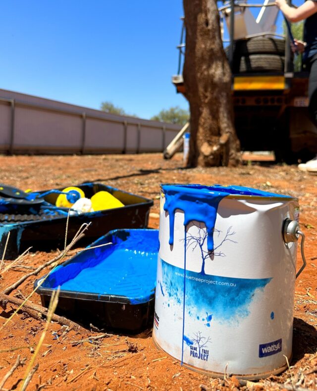 Get your paintbrushes at the ready…🖌️⁠ ⁠
⁠
Wattyl's free 'Blue Tree' paint scheme is back!⁠ ⁠
⁠
If you’ve been thinking about painting a Blue Tree at your school, workplace or in your community, consider this your sign to make it happen 👀 ⁠
⁠
Order your free paint at link in bio.
