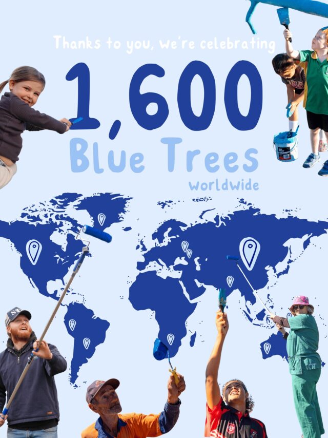 We're celebrating a milestone for the books and it's genuinely all thanks to you for rolling up your sleeves! 🙌 

Over the last 7 years, blue trees big and small have been popping up all over the world and today we tick over to 1,600 blue trees!

Thank you for your incredible support, we are so lucky to have such a supportive community kickin' the stigma of mental health by our side.

Not sure what the blue trees mean? Brush up on our website.
