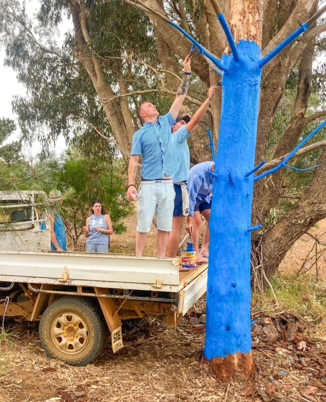 ⁠No ladder? No problem 💪⁠
⁠
The team at Hakea Farm, Lawson Grains, gets the job done - blue painting clothes and all. Another great conversation starter you wont want to miss. ⁠
⁠
📍 Hakea, WA⁠
⁠
#bluetreeproject #bluetree #bluetrees #kickthestigma #mentalhealth #mentalhealthawareness #notabooinbeingblue #blue #farm #westernaustralia #painting